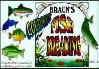 Gourmet Fish Breading & Seasoning
